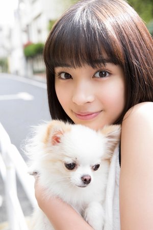 现在就出发第三季完整版免费观看