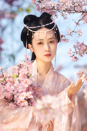 太平公主秘史在线观看免费